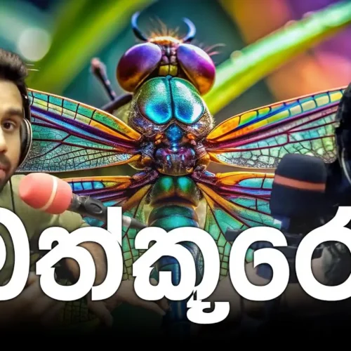 බත්කූරෝ |Y handewa
