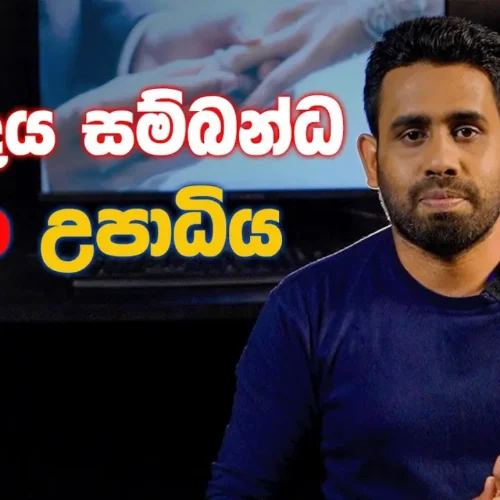 කසාදය සම්බන්ධචීන උපාධිය | Y Handewa Facts