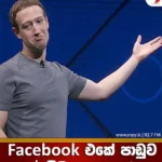 $ මිලියන 100 ක පාඩුවක්